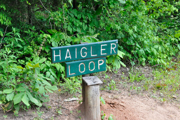 Haigler Loop Sign
